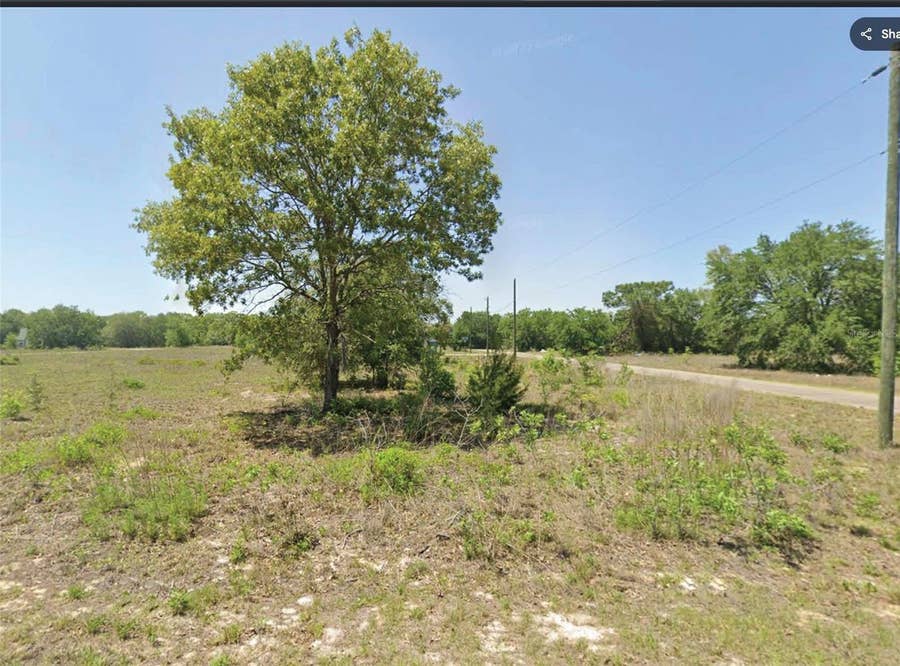 Property photo for 00 GUAVA TRACK TRAIL, Ocklawaha, FL