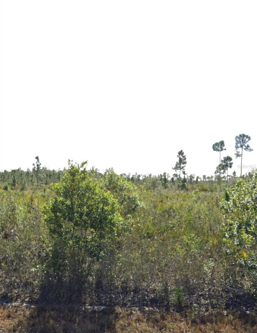 Property photo for 903 CALLIANDRA DRIVE, Indian Lake Estates, FL