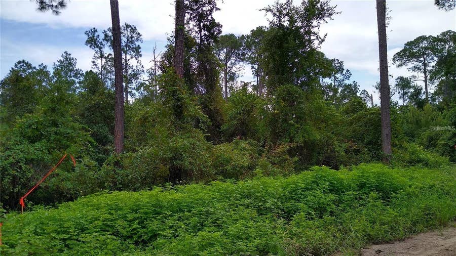 Property photo for 12TH AVENUE, Deland, FL