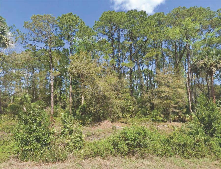 Property photo for 318 REDWOOD BOULEVARD, Georgetown, FL
