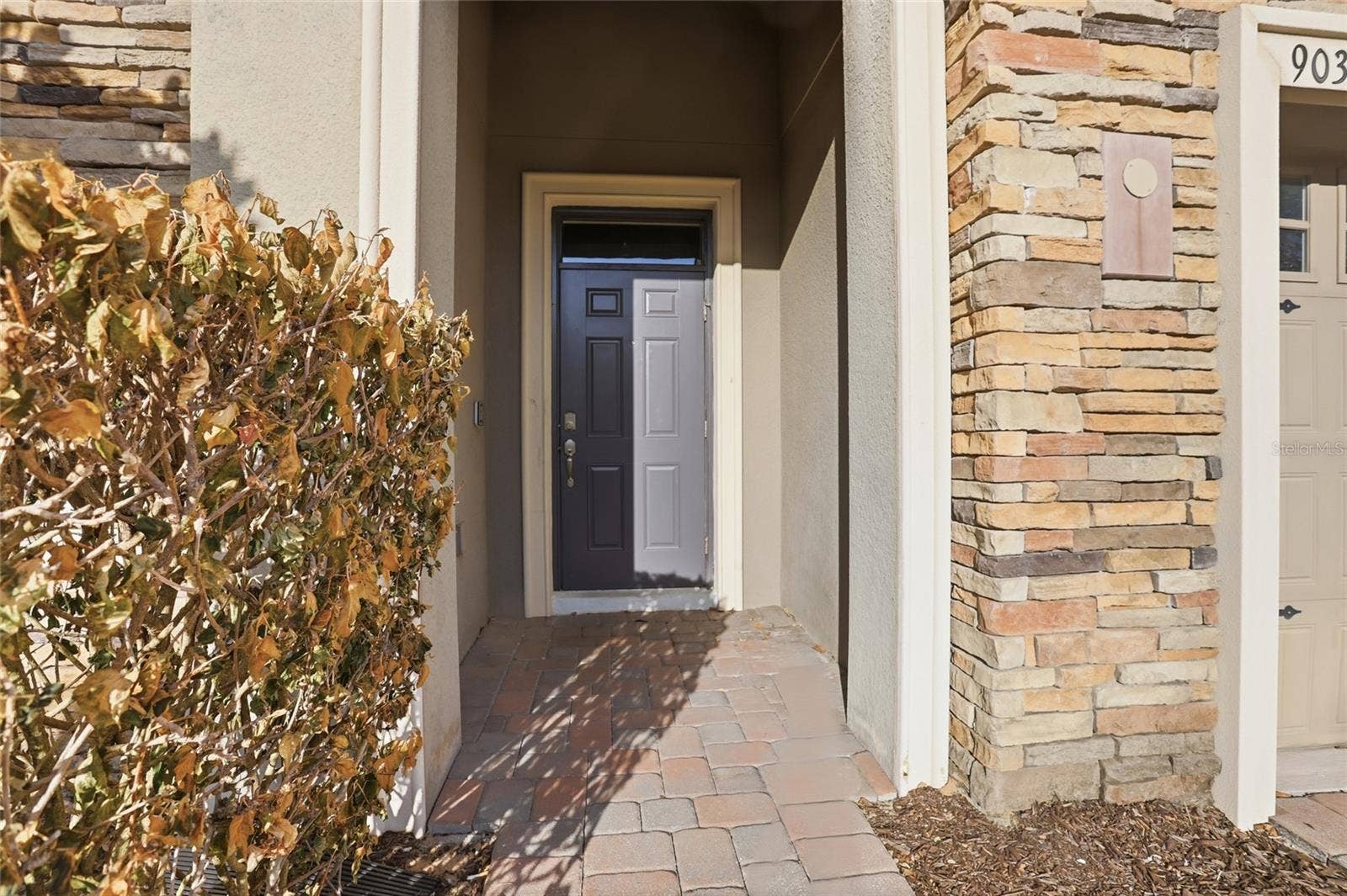 9039 SHADOW MOUNTAIN STREET, Davenport, FL 33896 9039 SHADOW MOUNTAIN STREET, Davenport, FL 33896