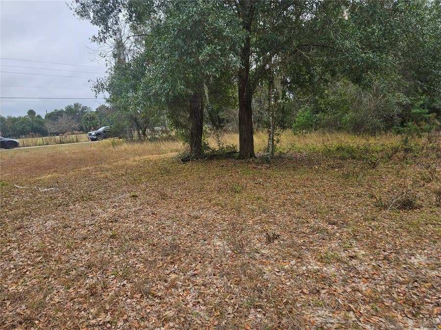 Property photo for SE HIGHWAY 42, Weirsdale, FL
