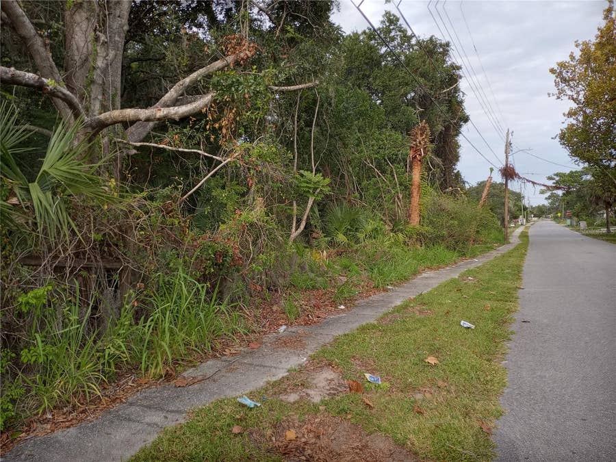 Property photo for CARVER STREET, Mims, FL