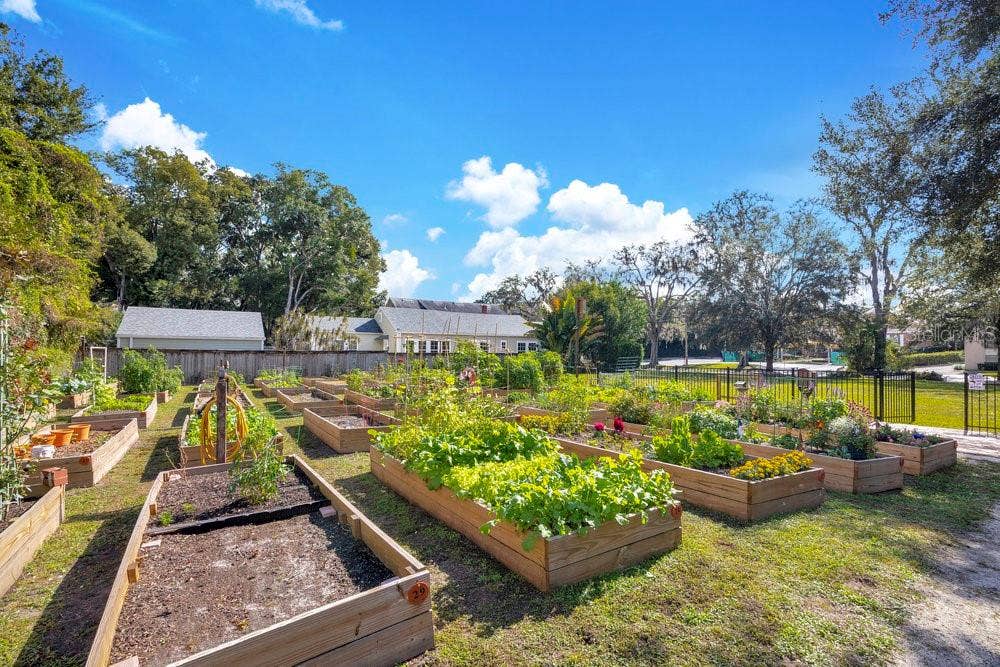 1010 E ROBINSON STREET, Orlando, FL 32801