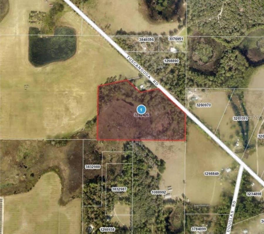 Property photo for TUSCANOOGA ROAD, Mascotte, FL
