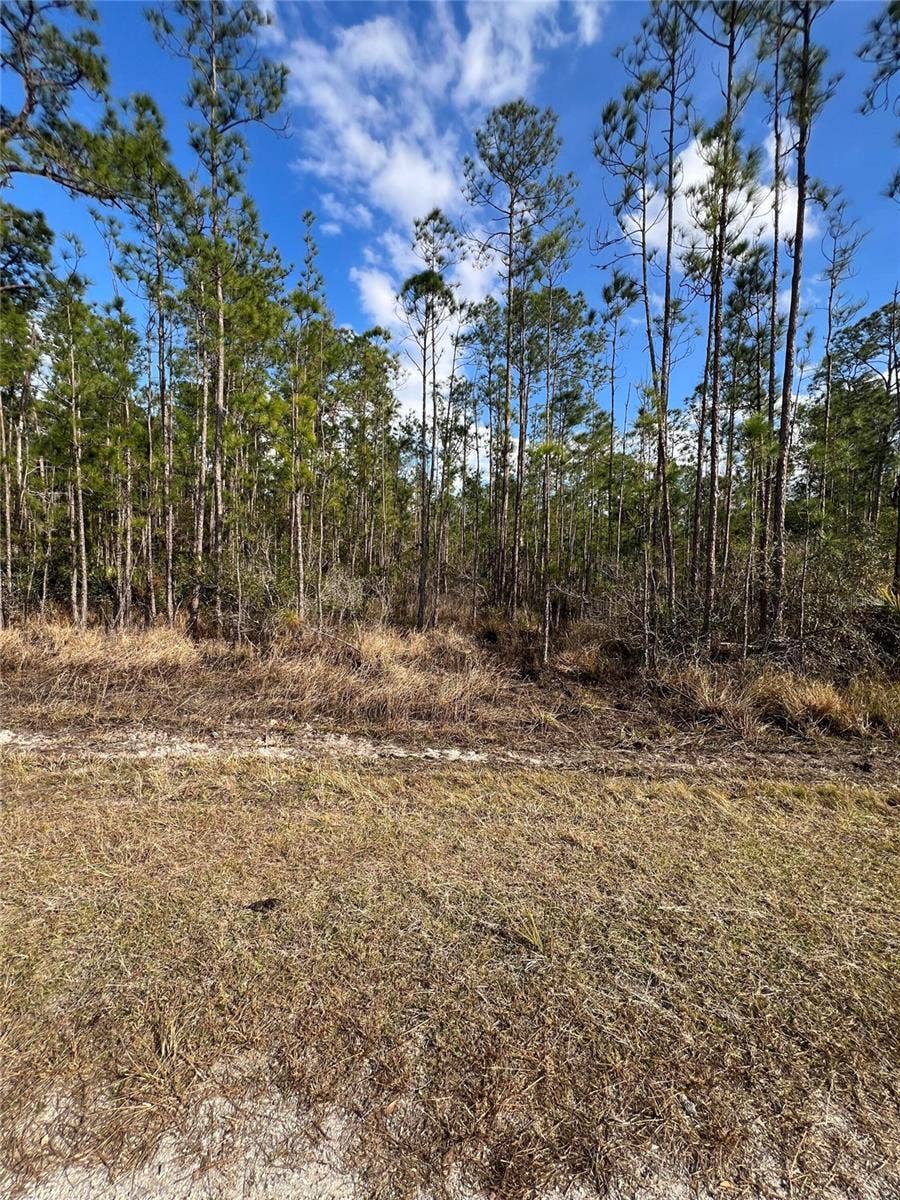 Property photo for 6660 BALBOA BOULEVARD, Sebring, FL