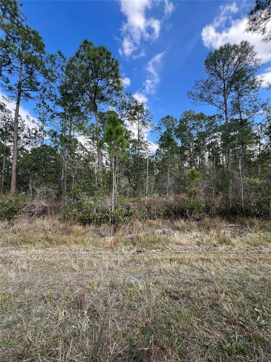 Property photo for 6727 BALBOA BOULEVARD, Sebring, FL
