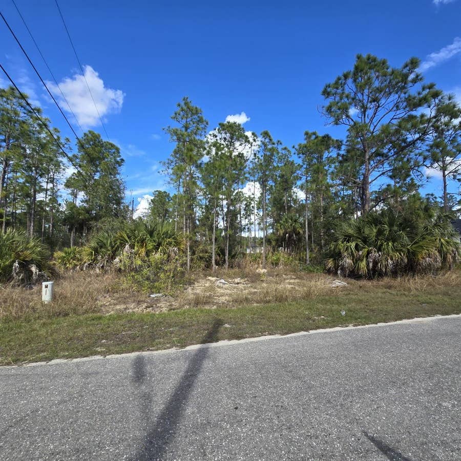Property photo for 2603 E 13TH STREET, Lehigh Acres, FL