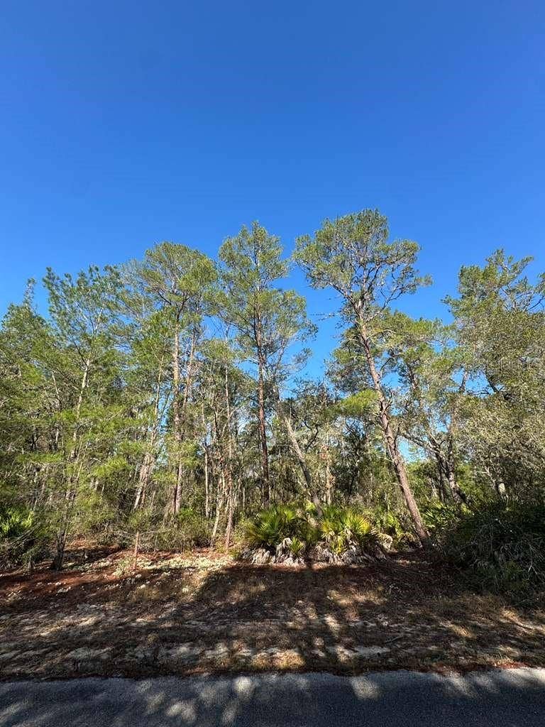 Property photo for Ocklawaha, FL
