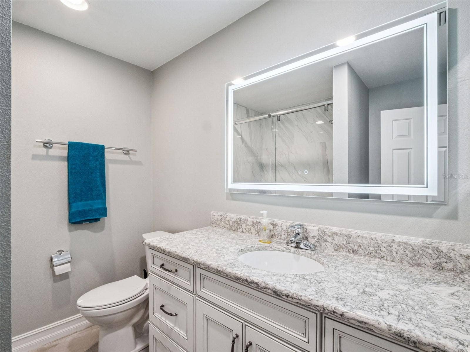 5314 SHADYWOOD LANE, Orlando, FL 32819 Updated Guest Bath