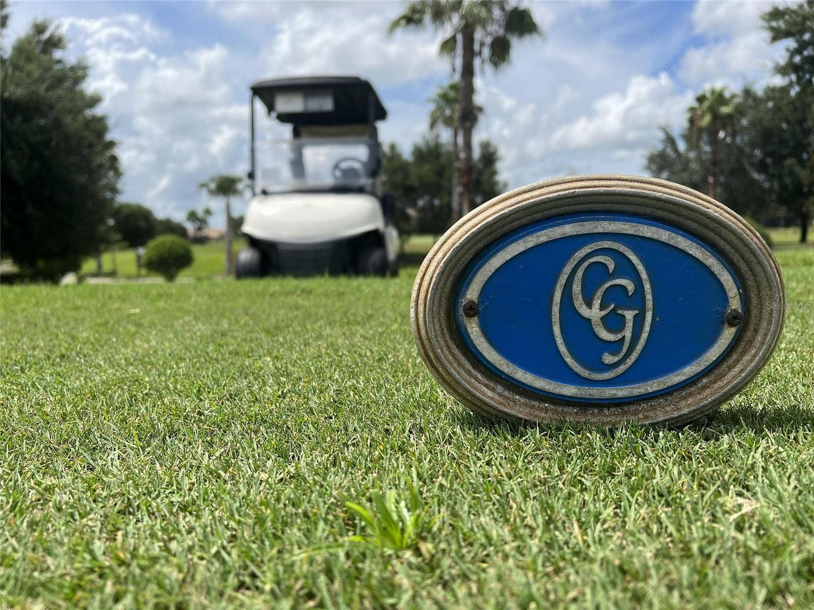 1301 GLENEAGLES LANE, Davenport, FL 33896 Semi-Private Golf Course