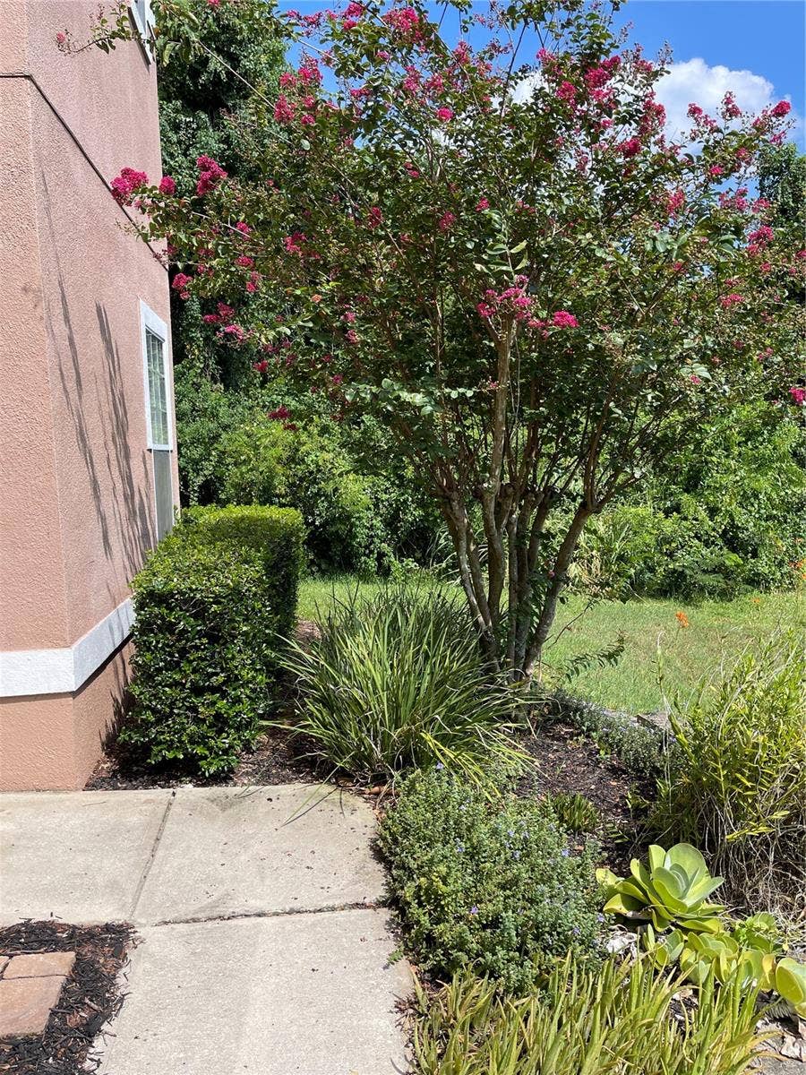 7617 BAY PORT ROAD, #57, Orlando, FL 32819 7617 BAY PORT ROAD, #57, Orlando, FL 32819