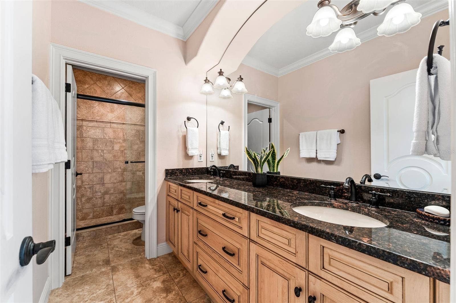 5070 DOWN POINT LANE, Windermere, FL 34786 5070 DOWN POINT LANE, Windermere, FL 34786