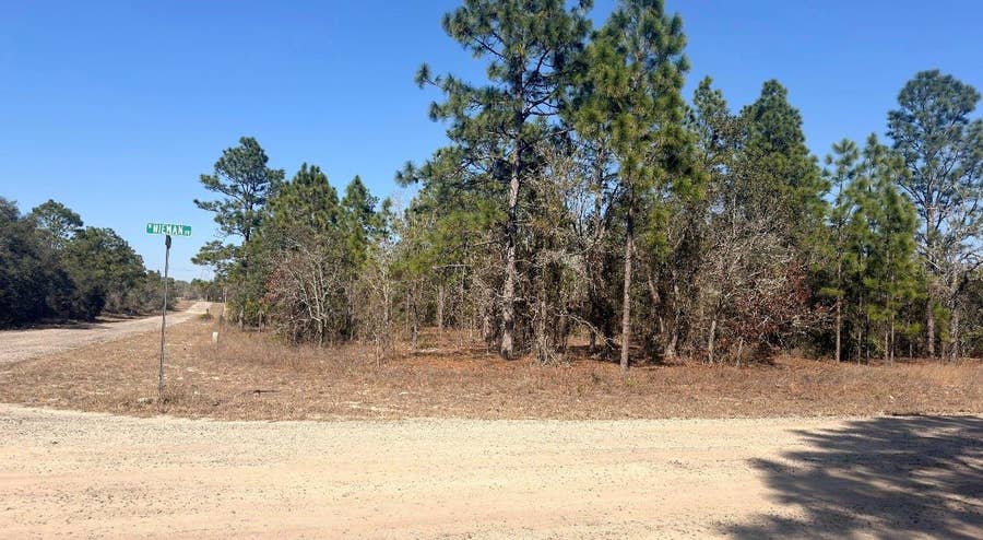 Property photo for 6501 N WINLOCK TERRACE, Dunnellon, FL