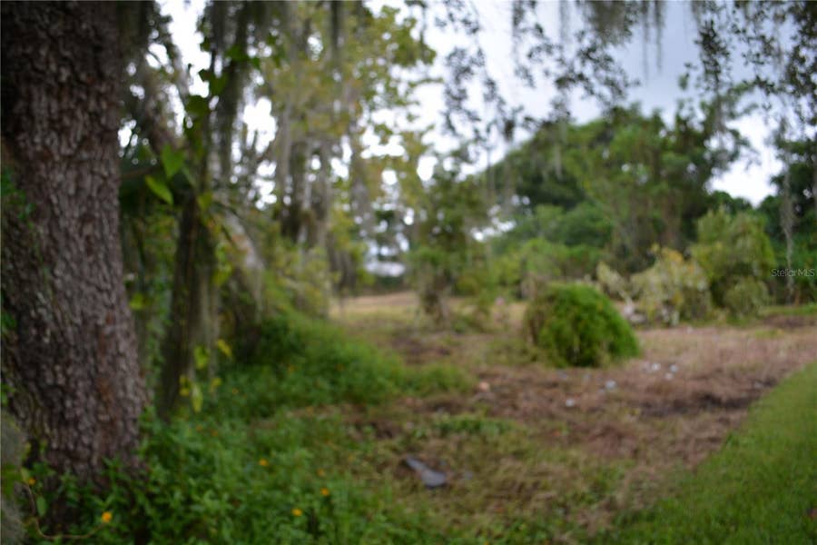 Property photo for 0 SE 3RD STREET, Interlachen, FL