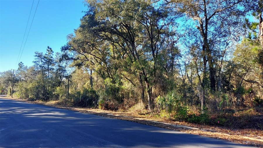 Property photo for 0 SE 124TH COURT, Dunnellon, FL