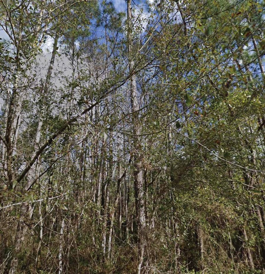 Property photo for SE 3RD STREET, Palatka, FL
