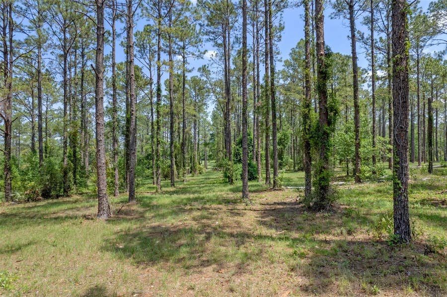 Property photo for 35408 PINEGATE TRAIL, Eustis, FL