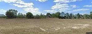 Property photo for 1916 NE 33RD LANE, Cape Coral, FL