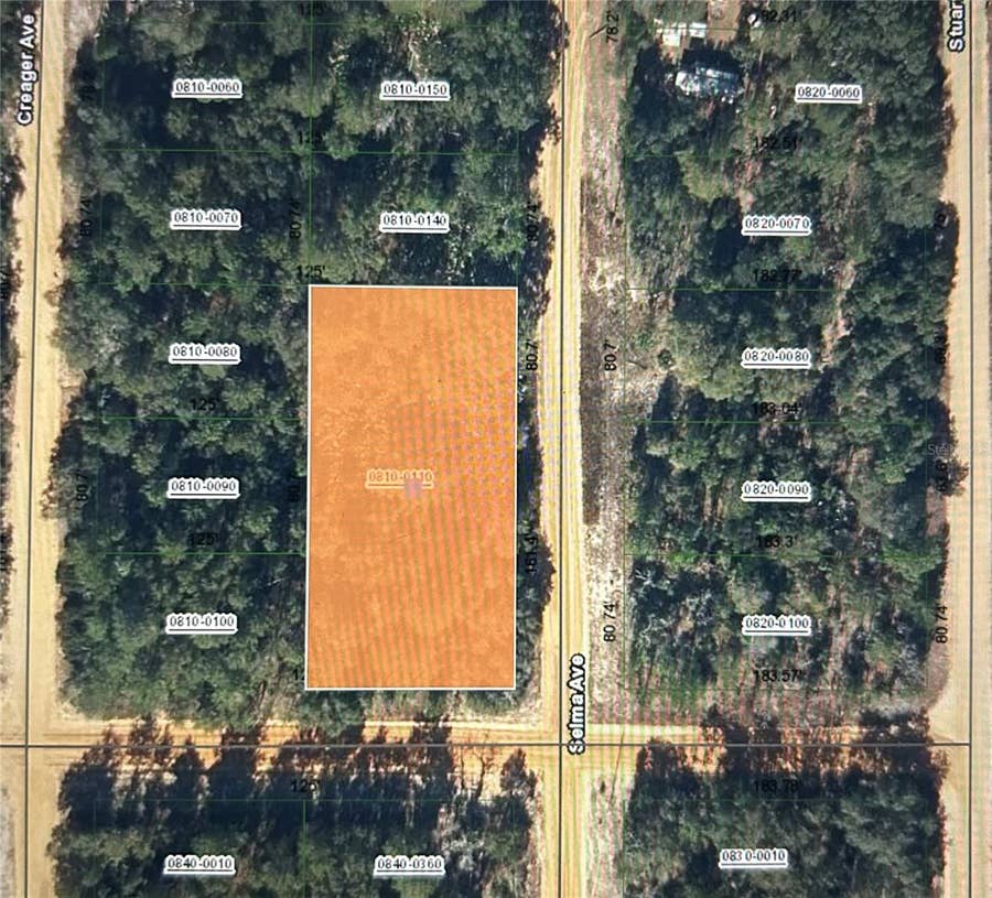 Property photo for 00 SELMA AVE, Interlachen, FL