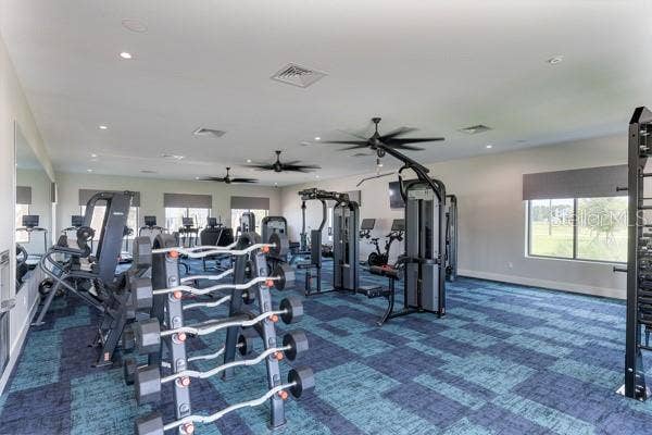 4382 FINCH LANE, Kissimmee, FL 34746 Community gym