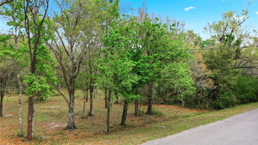 Property photo for QUINLAN STREET, Orlando, FL