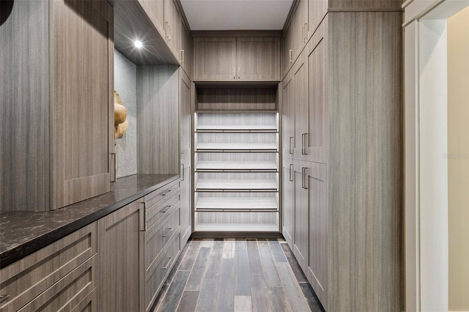 15503 TROTTING HORSE LANE, Tavares, FL 32778 Master Bedroom custom closet
