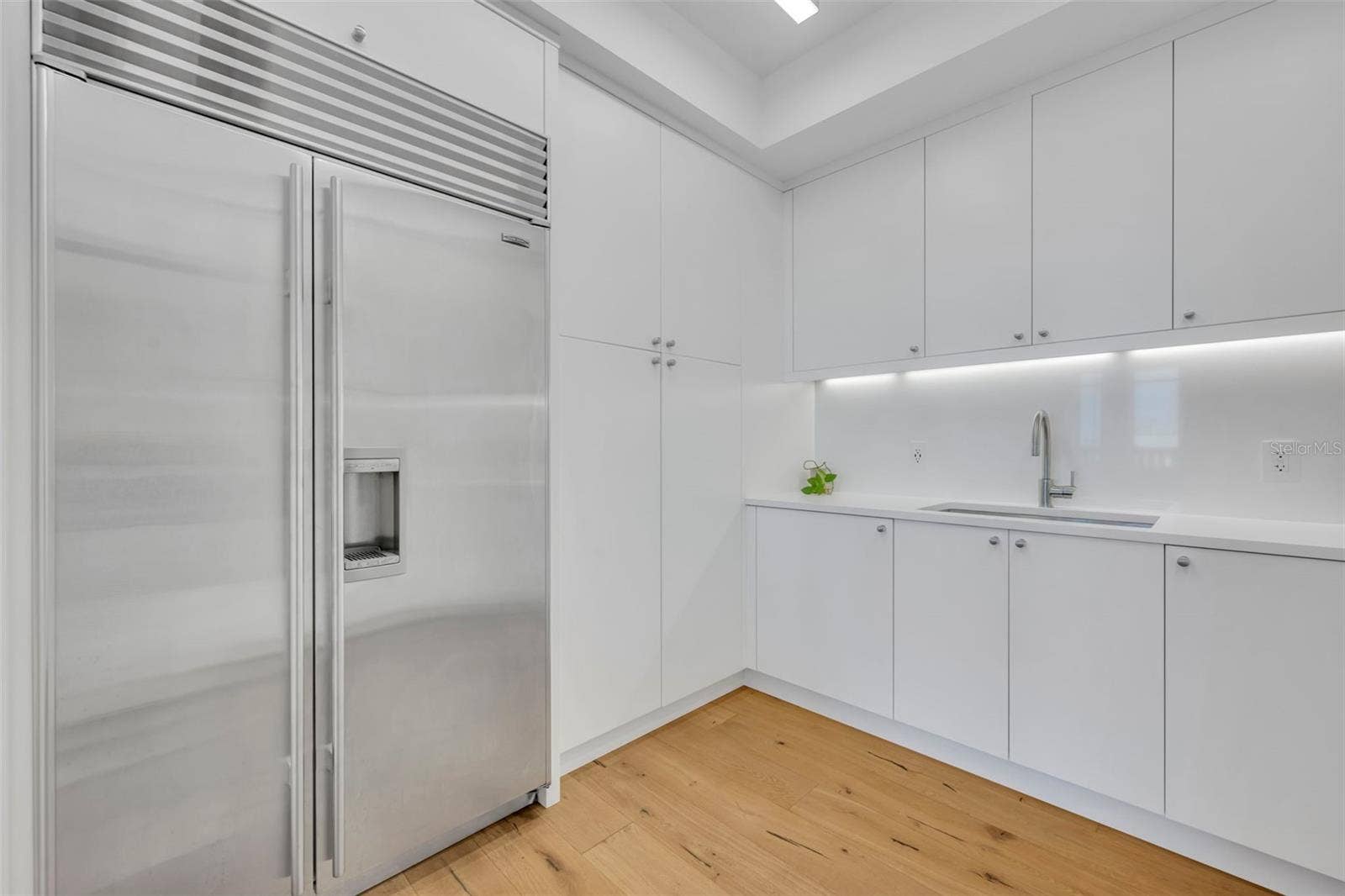 Butler Pantry and extra refrigerator