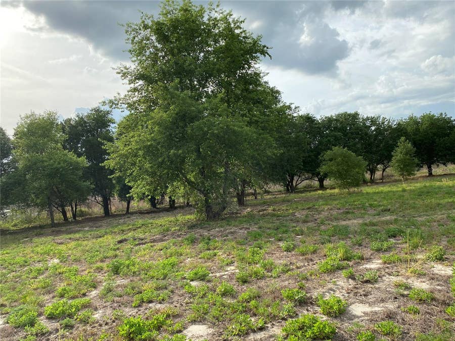 Property photo for SOUTH O 'BRIEN ROAD, Groveland, FL