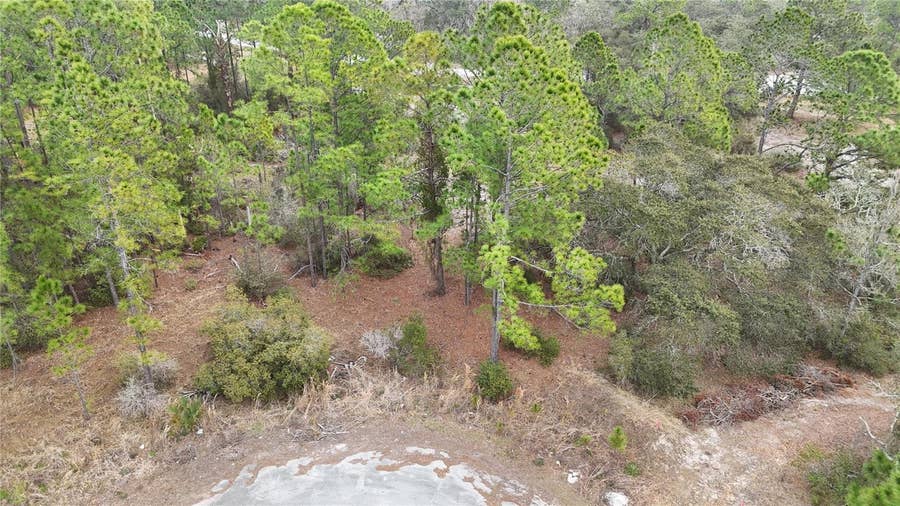 Property photo for 1255 WAHNETA DRIVE, Kissimmee, FL