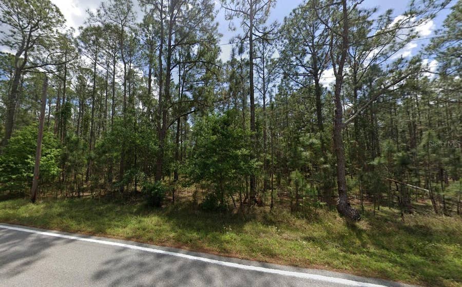 Property photo for POYNER OAKS ROAD N, Polk City, FL