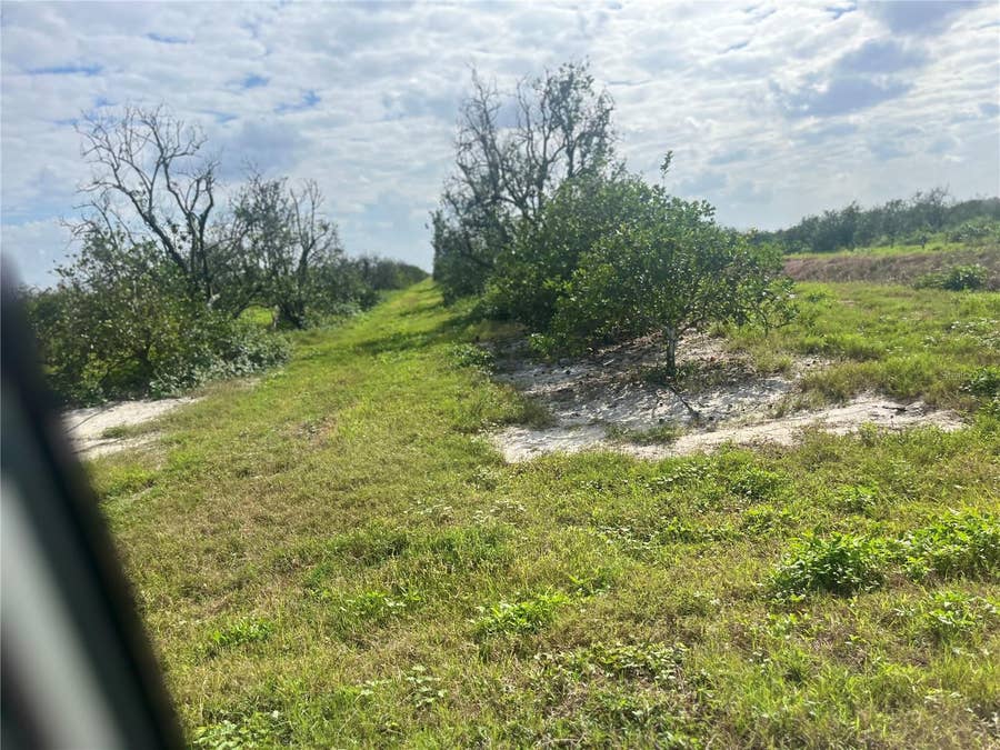 Property photo for NE HWY 70, Arcadia, FL