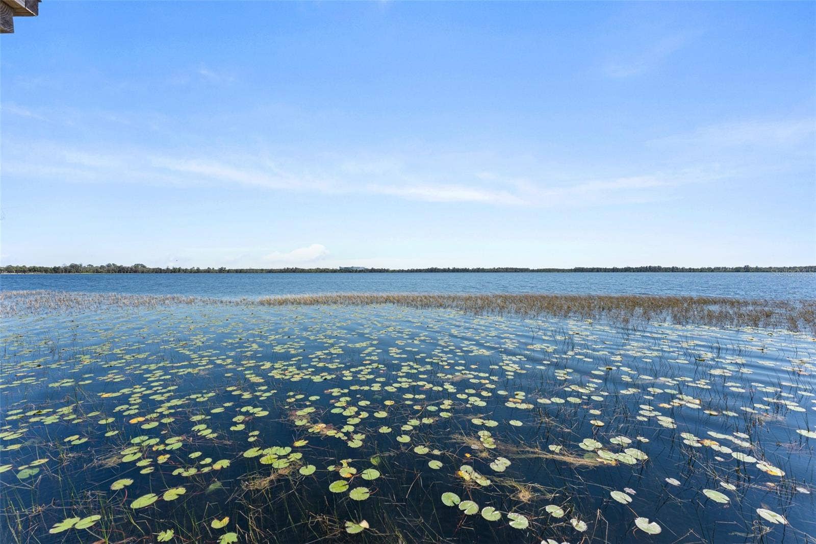 8506 LAKE NONA SHORE DR, Orlando, FL 32827