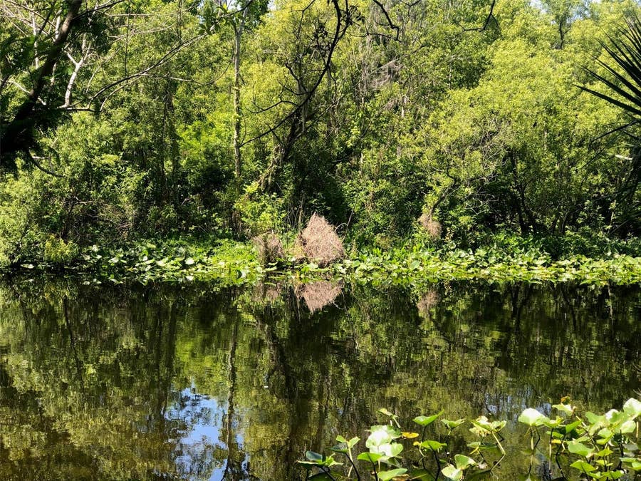 Property photo for 241 NOVA DRIVE, Sanford, FL