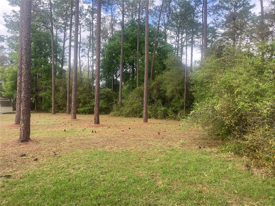 Property photo for SE 19TH PL, Silver Springs, FL
