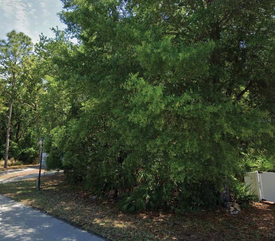 Property photo for 49 GOLFVIEW DRIVE, Homosassa, FL