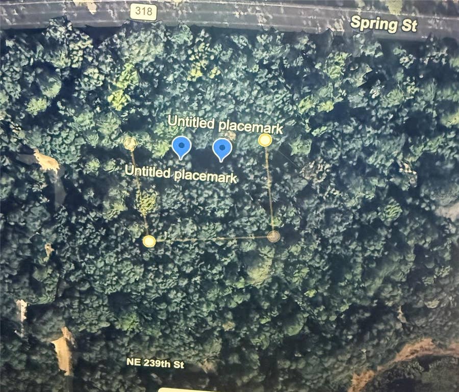 Property photo for NE 239TH PLACE, Orange Springs, FL