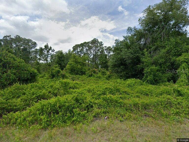 Property photo for 315 JOHNSON AVENUE NE, Lake Placid, FL