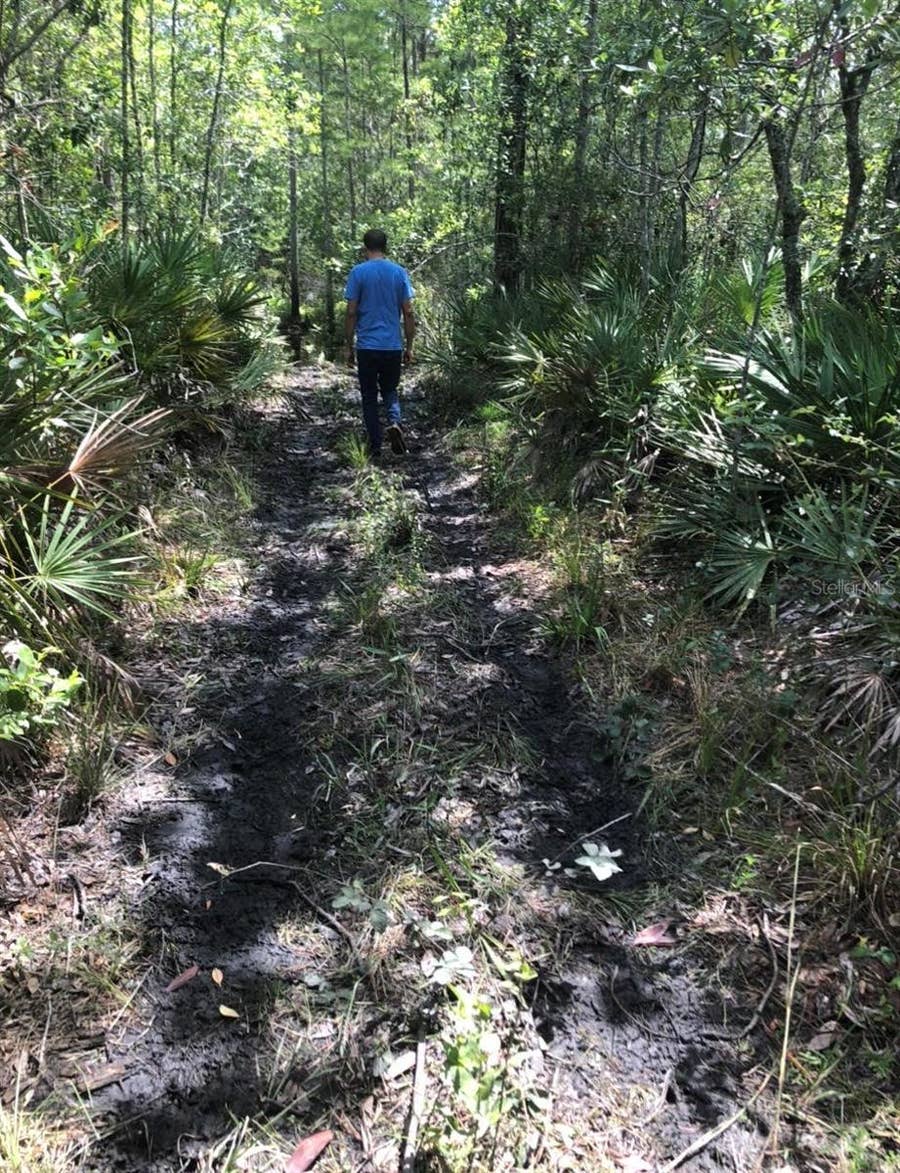 Property photo for 2449 OLD TRAIN ROAD, Deltona, FL
