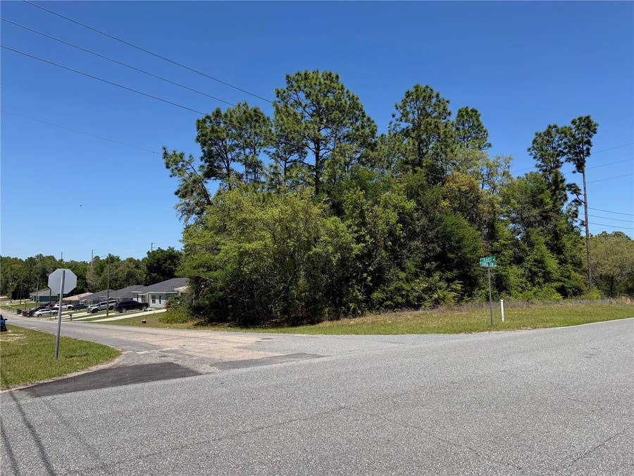Property photo for 8975 N TRAVIS DRIVE, Citrus Springs, FL