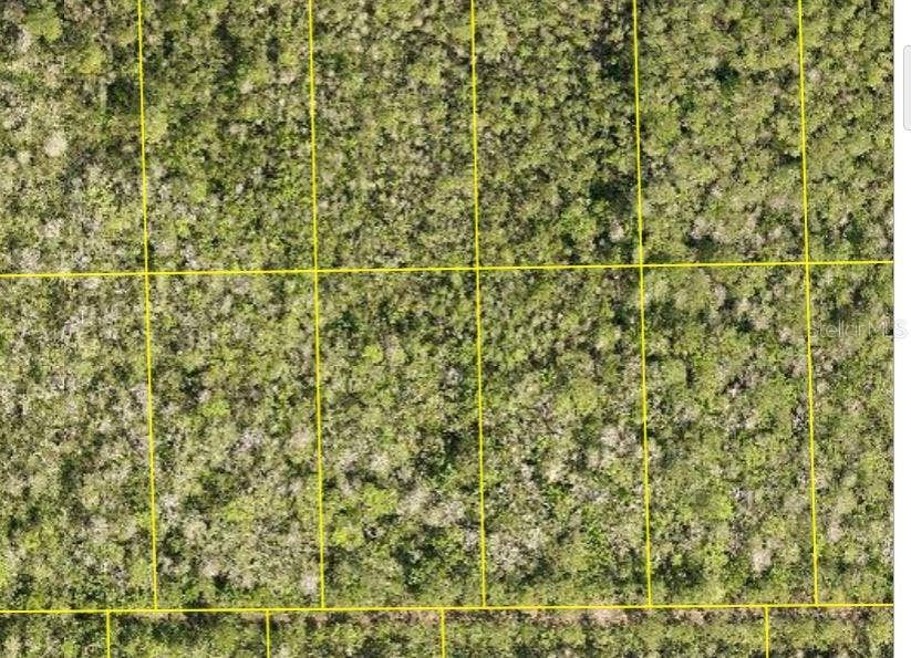 Property photo for PID 710801150230 NO STREET, Deland, FL