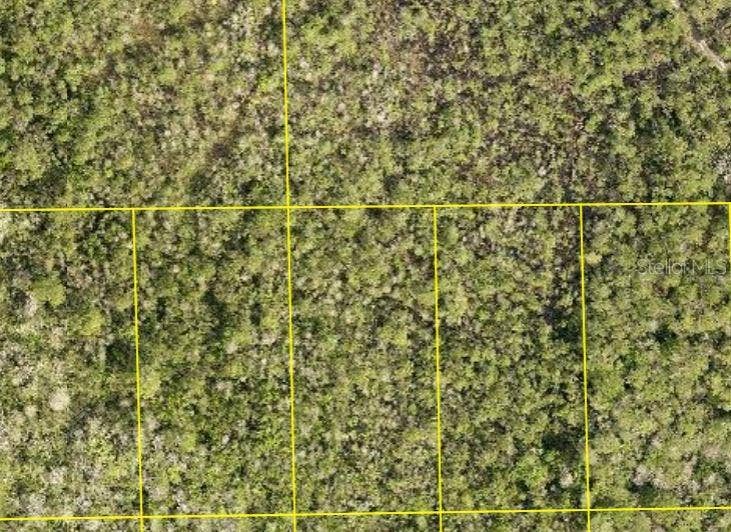 Property photo for PID 710801150090 NO STREET, Deland, FL