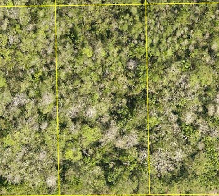 Property photo for PID 710801150220 NO STREET, Deland, FL