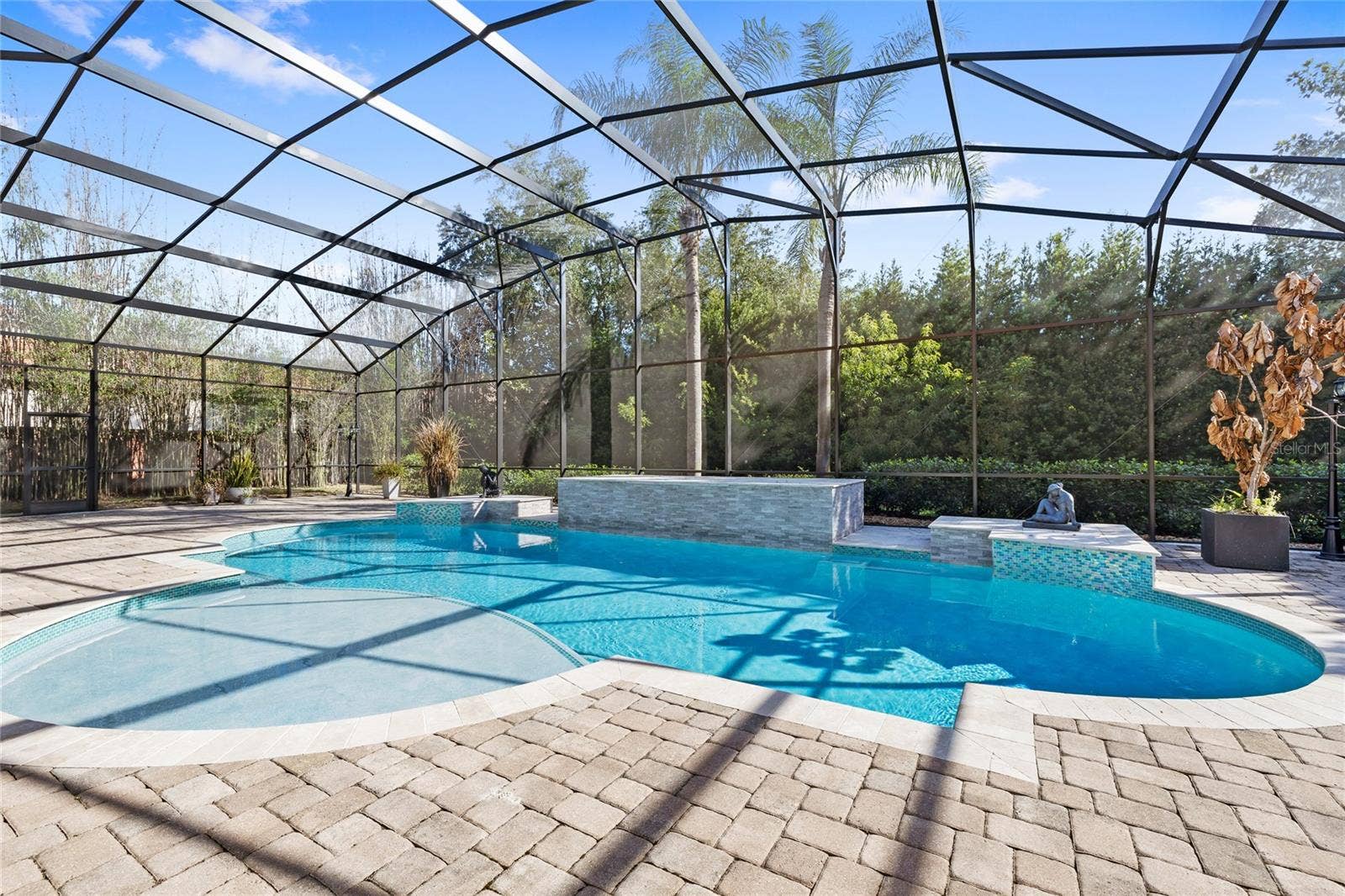 11051 HAWKSHEAD COURT, Windermere, FL 34786 Pool was completely redesigned - new screen enclosure and all new salt system pool equipment added.