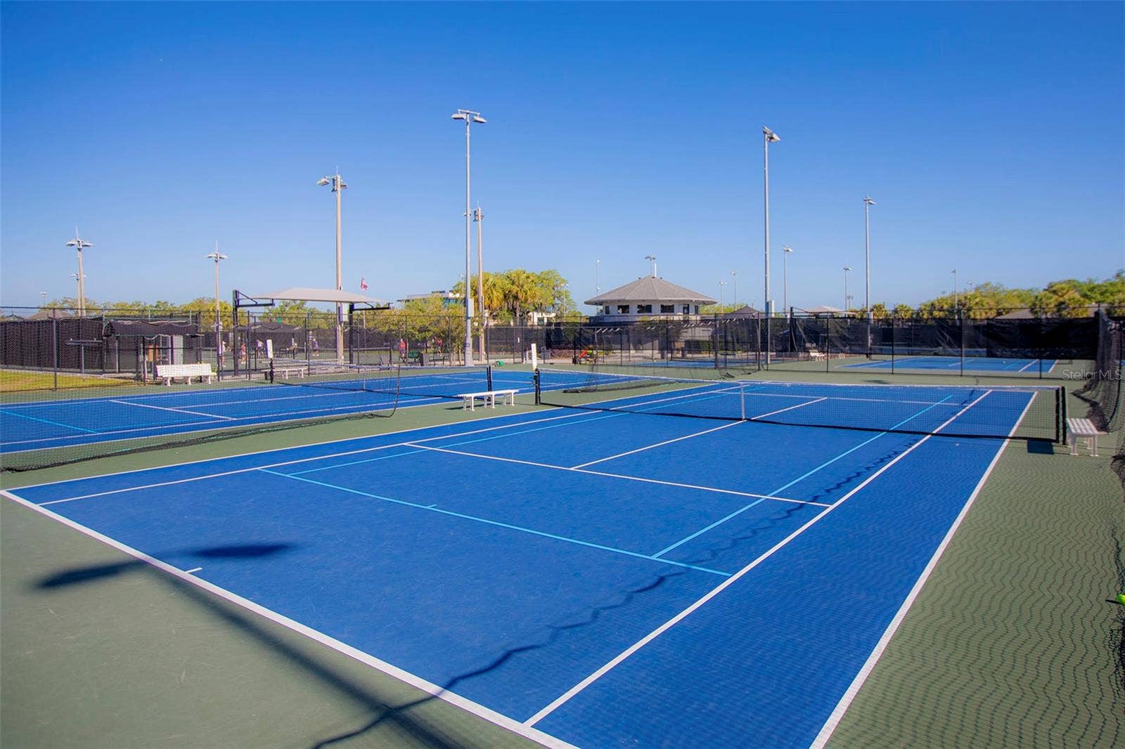 Winter Park Tennis
