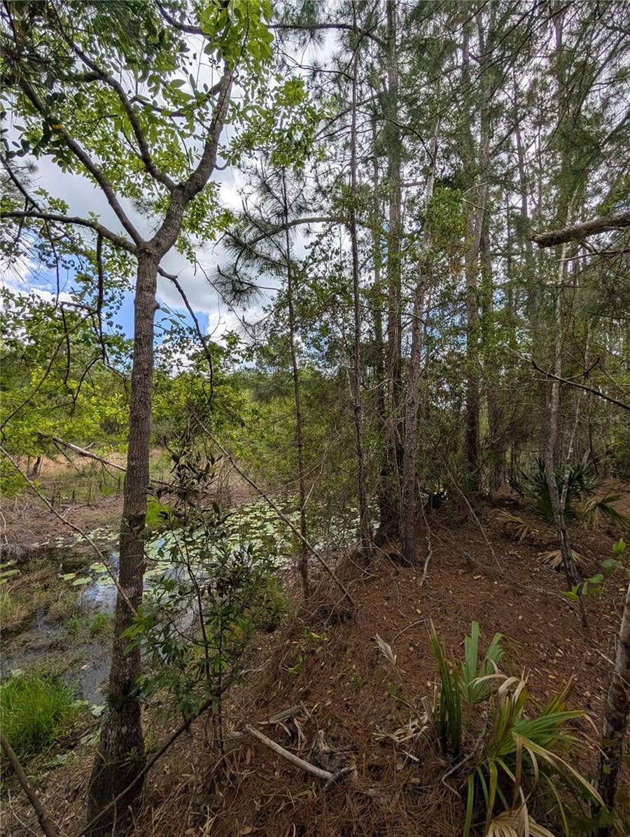 Property photo for 38521 ILEX TRAIL, Eustis, FL