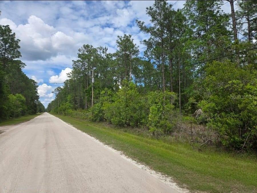 Property photo for 1747 CANDLEBERRY STREET, Bunnell, FL