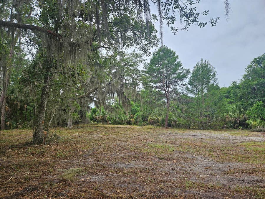 Property photo for 000 CULVER WAY, Geneva, FL