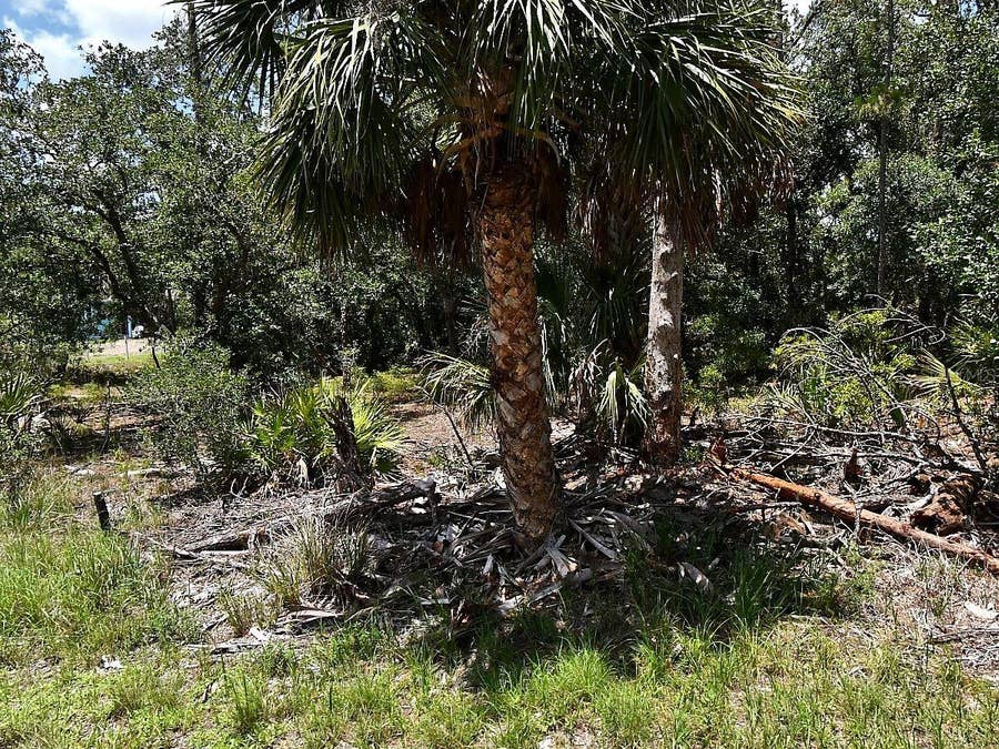 Property photo for HAWKSBILL AVENUE, North Port, FL