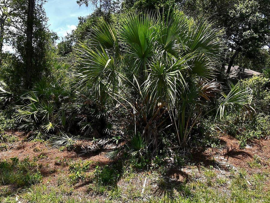 Property photo for VAN ECK ROAD, North Port, FL